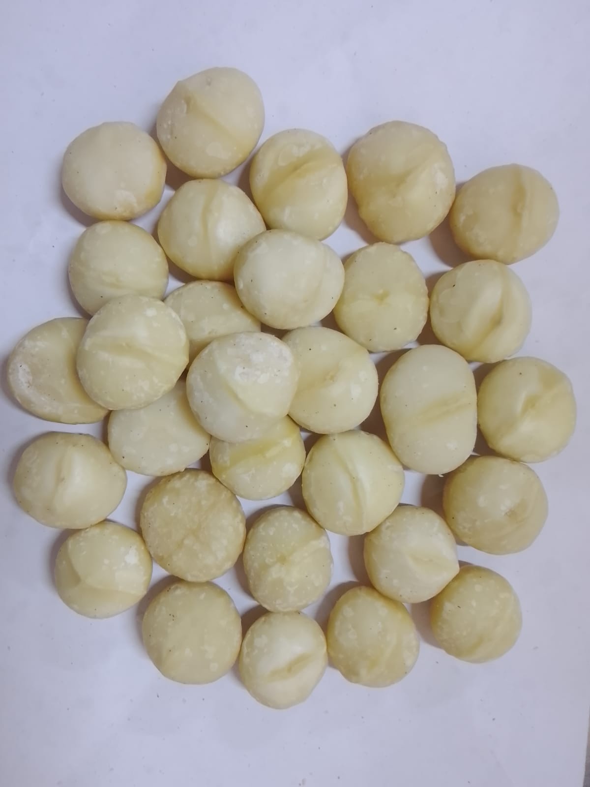 Premium whole macadamia kernels — quality certified