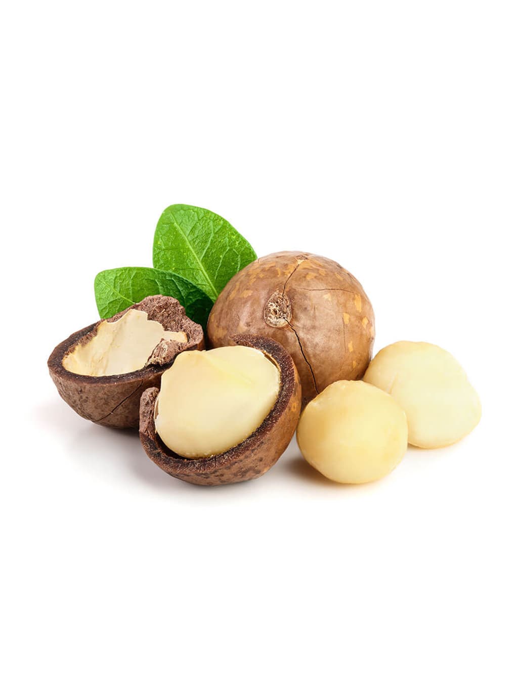 Premium macadamia kernels ready for export